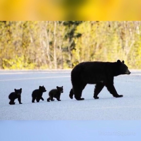 Follow Game #2! Thank you for sharing! ๐คฉ - Picture 4 of 6